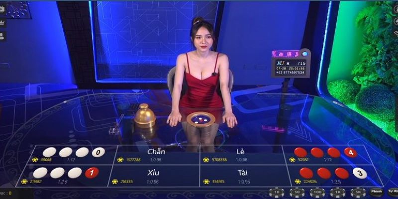 Luật Chơi Xóc Đĩa: Hướng Dẫn Chi Tiết Để Trở Thành Cao Thủ 2 Luật chơi xóc đĩa là yếu tố quan trọng nhất mà người chơi cần nắm vững