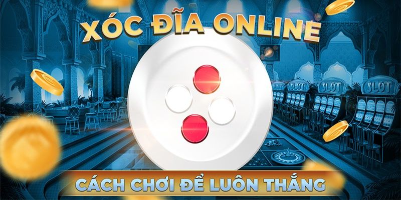 Những lưu ý đặc biệt trong sảnh game xóc đĩa online uy tín