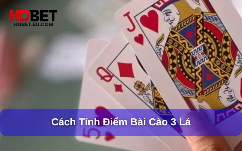 Cách Chơi Bài Cào 3 Lá: Hướng Dẫn Từ A Đến Z Cho Người Mới Bắt Đầu 6 Truy cập HDbet trên web